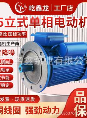 铸铁单相异步YL90电动机220v减速机电动机YL80YL100立式4极6极8极