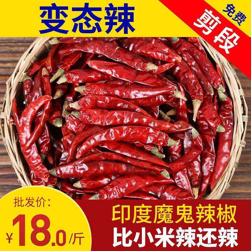 变态辣印度魔鬼辣椒干 干货500克超小米辣干 干辣椒特辣干 干红辣