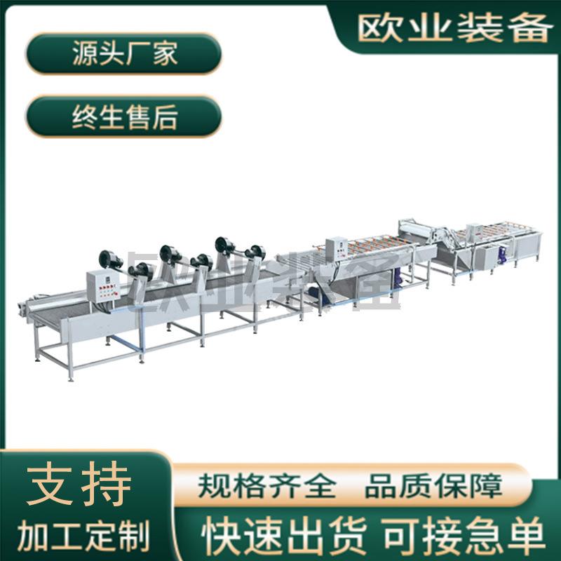 蔬菜漂烫冷却机 莲藕清洗消毒流水线 净菜漂烫杀青设备