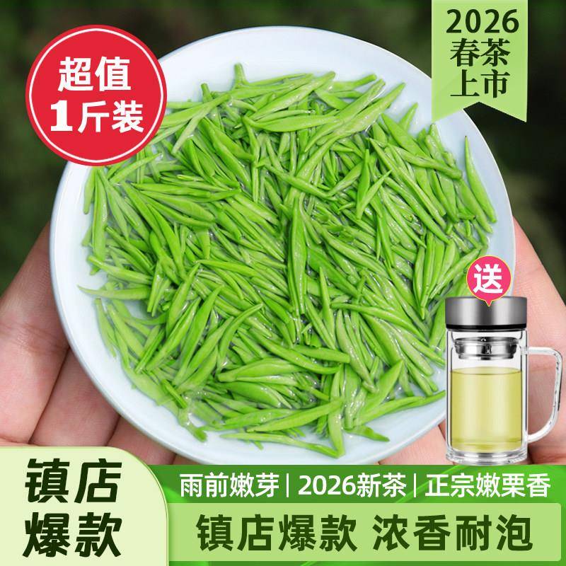 毛尖茶叶2026新茶信阳毛尖静香官方正品特级嫩芽浓香绿茶自己喝