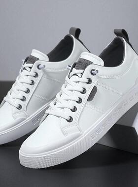 Men's Fashionable Lace Up Low Top Sneakers Casual