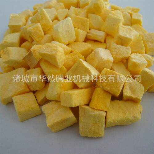 果蔬冻干机-50℃真空冷冻干燥机宠物食品冻干设备低温干燥设备