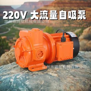 220V柴油泵1寸大流量自吸加油抽油泵加油机滑片叶片泵齿轮减速泵