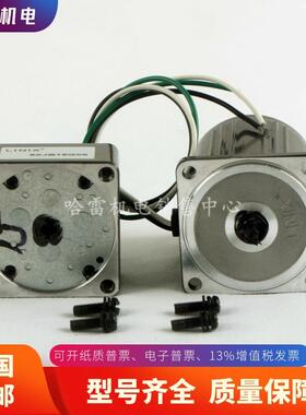 联宜INI直流永减速电机63FZWZY磁L24-40/70JB100G103X2