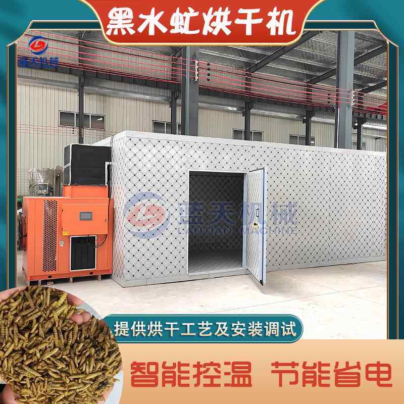黑水虻烘干机 黑水牤蝇蛆虫蚯蚓幼虫烧颗粒烘干房 黑水虻烘干设备