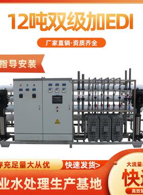 12吨双级RO反渗透设备加EDI超纯水设备 净水处理纯水高纯水机器