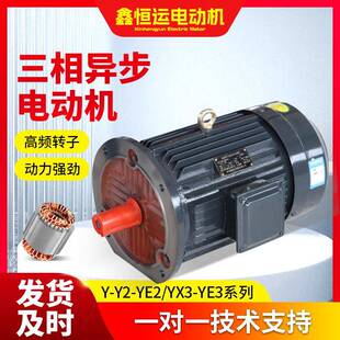 YE2 2三相异步电动机3kW三相电动机YE2 112M 2电机厂家 100L