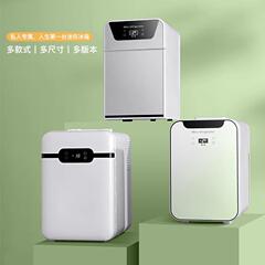 迷你冰箱家用小型2024新款车载冰箱宿舍出租房两用可冷藏冷冻节能