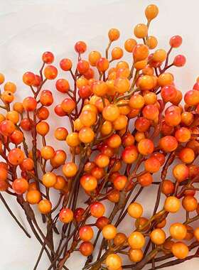 2026款C4540TEMU外贸新款橙色浆果枝条鲜艳红黄