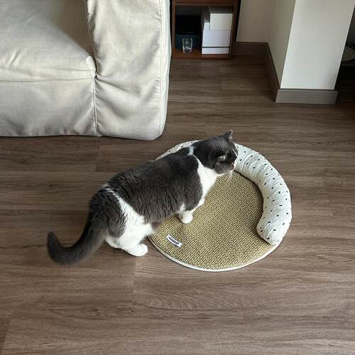 春夏猫狗垫子藤编凉席可拆洗猫窝宠物沙发四季通用中小型降温狗窝