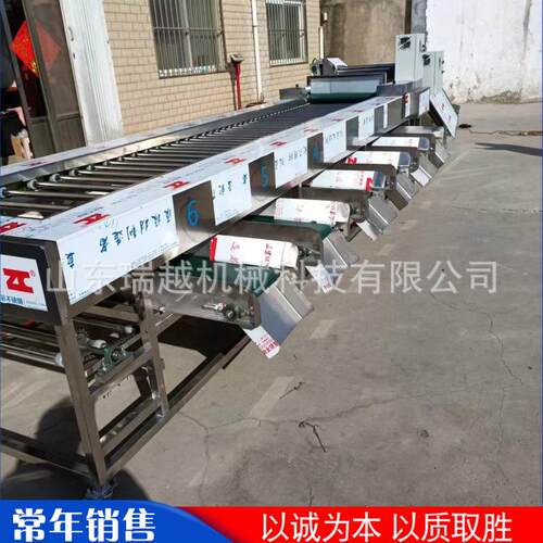 不锈钢果蔬滚杠筛选机多功能苹果桃子选果机商用土豆芋头分选机