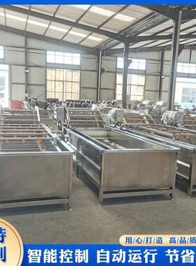 6500型蔬菜气泡清洗机水果清洗设备304不锈钢板材机械