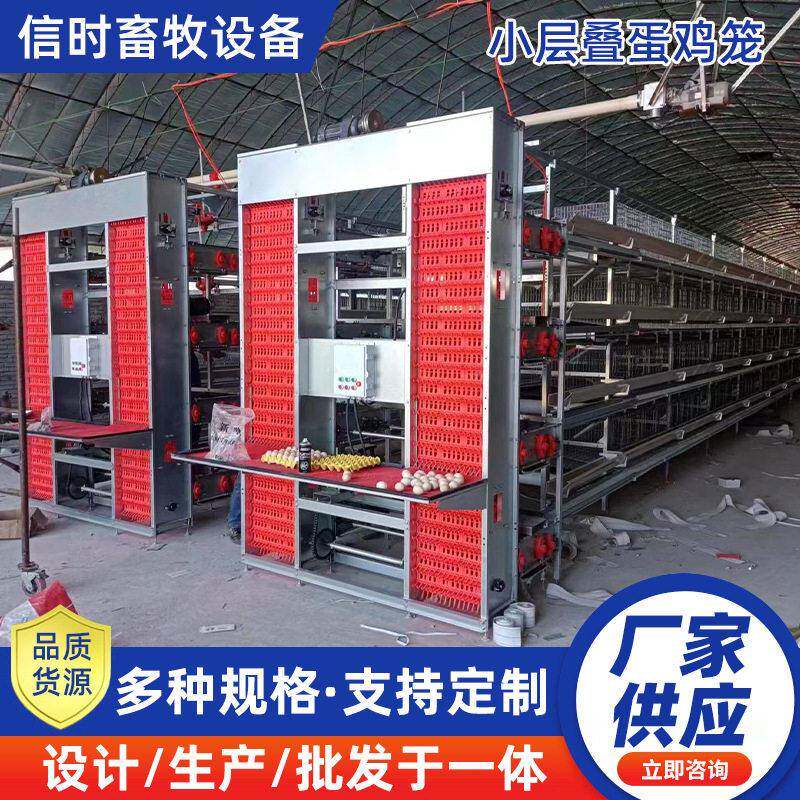 小层叠蛋鸡笼源头工厂鸡舍鸡场自动化养殖设备自动捡蛋清粪养鸡笼
