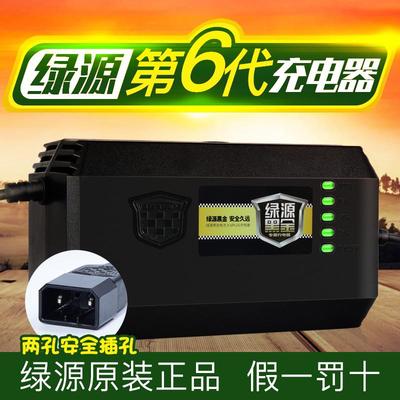 绿源原装电动电瓶车充电器36V48V60V64V72V80V/20E/30E-T/2T40E50