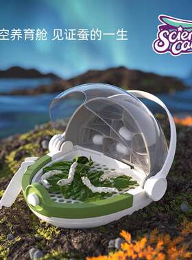 蚕宝宝活体学生养蚕套装别墅太空舱养育春蚕卵活物宠物工具桑叶