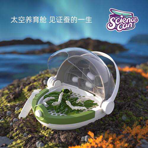 蚕宝宝活体学生养蚕套装别墅太空舱养育春蚕卵活物宠物工具桑叶