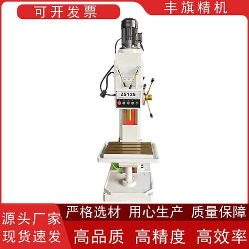 厂家直销Z5125立式钻床小型台钻自动进刀方柱立钻打孔强劲钻孔