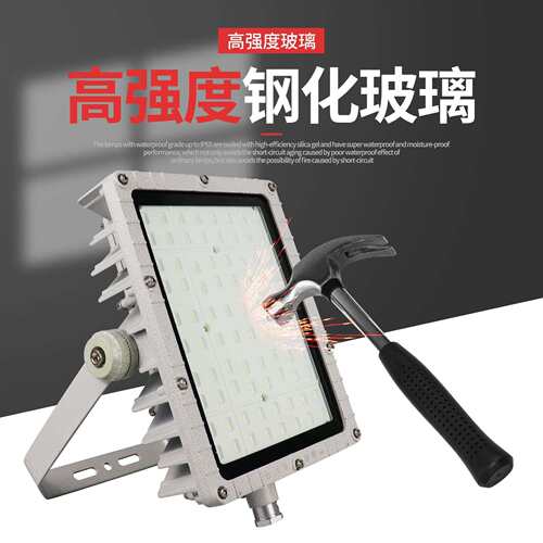 BFC8115LED泛光灯60W厂房隔爆型投光灯100W户外防水路灯式防爆灯