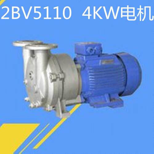 4KW2BV5110水环式真空泵供应全铜电机质量保证深圳水环真空泵厂家