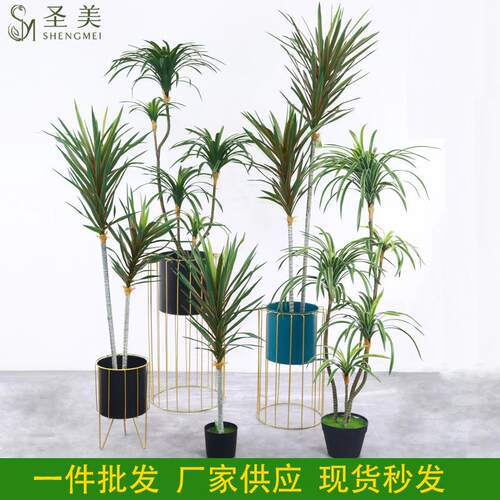 现货仿真植物巴西铁树白边龙血树北欧家居室内橱窗落地假绿植装饰