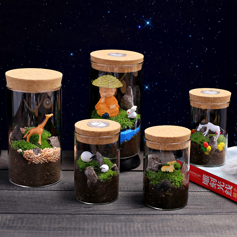 直筒玻璃瓶苔藓微景观DIY材料包套装 暖场活动幼儿园植物生长观察