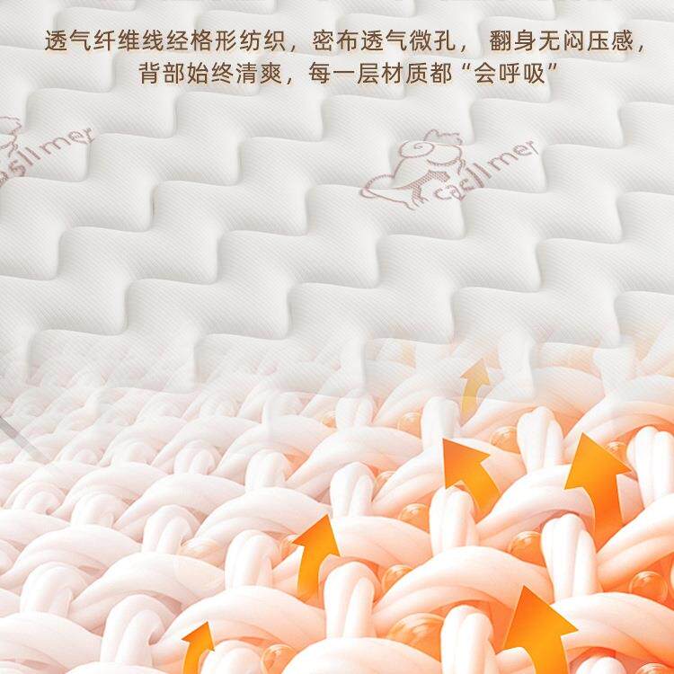 弹簧床垫子家庭用卧室乳胶软租房硬椰棕20cm厚四季通用席梦思