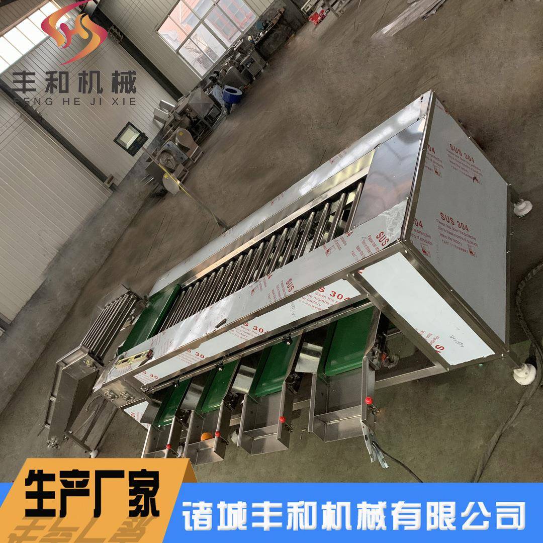 全自动水果大小挑选设备荔枝滚杠分级机脐橙清洗风干打蜡分级机