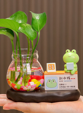 可爱治愈系公仔解压好物家居办公室工位绿萝水培花瓶装饰品小摆件