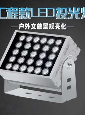 LED户外防水投光灯景观绿化照树灯别墅外墙洗墙灯公园绿化射树灯