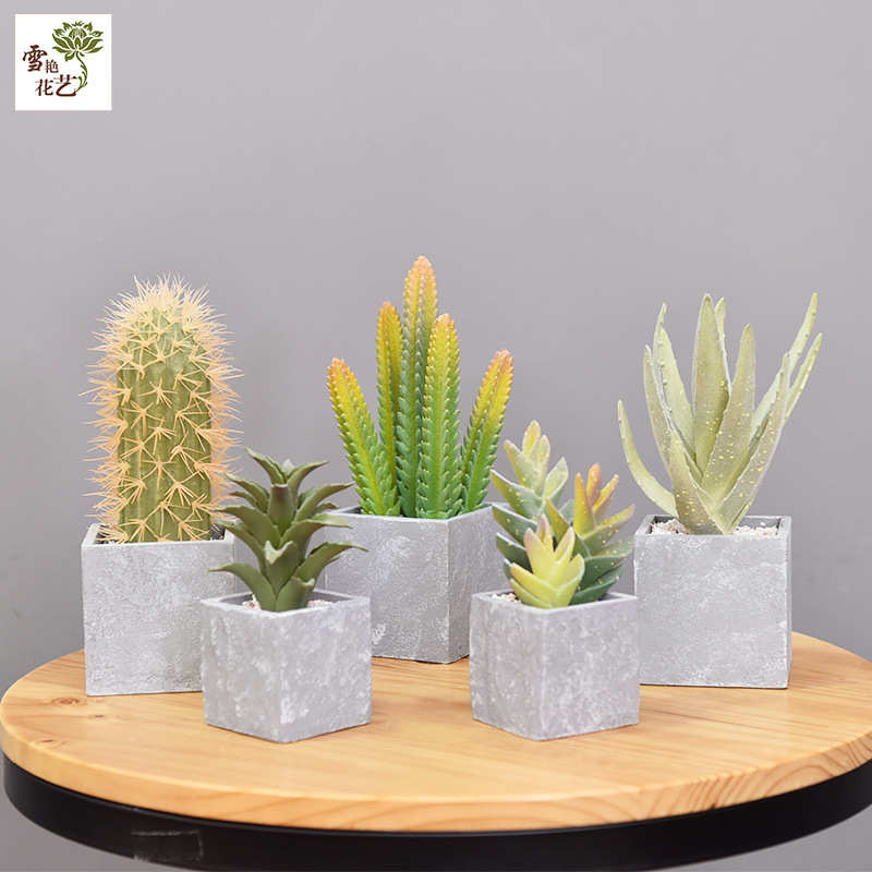 欧丽菲欧式仿真绿植仙人掌家居装饰假热带植物仙人掌盆栽仿真植物