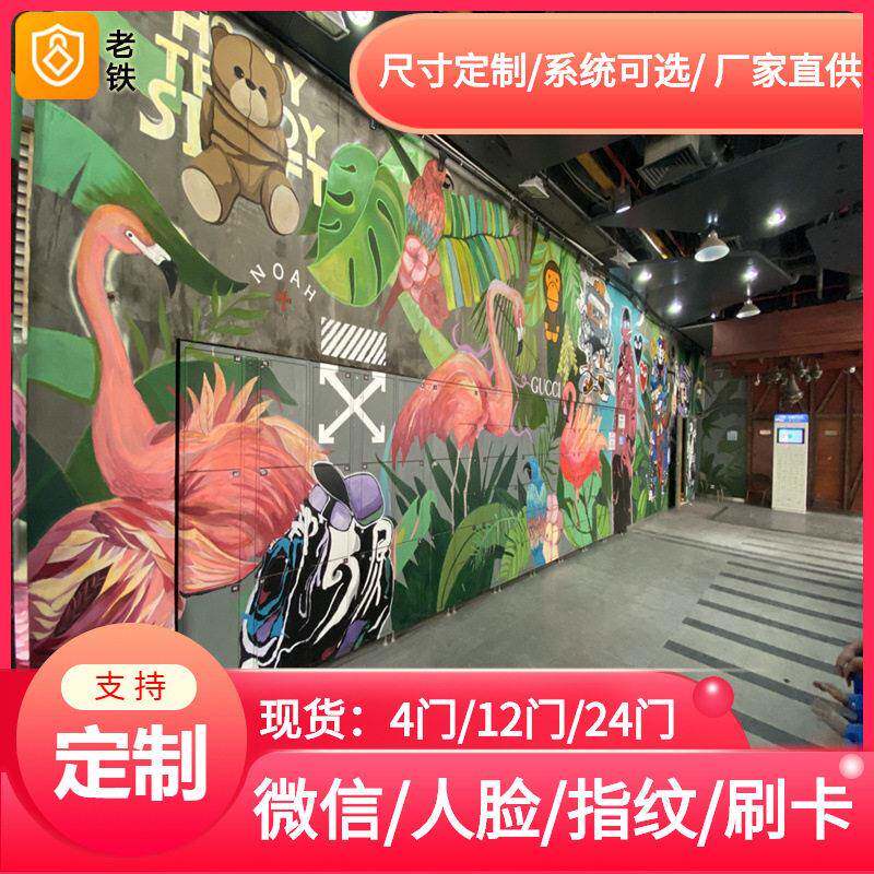 微信扫码智能储物柜/手机共享寄存柜/青海车站地铁机场存包柜投放