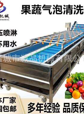 圆白菜喷淋式气泡清洗机青椒黄瓜西红柿洗菜机红薯土豆去泥清洗机