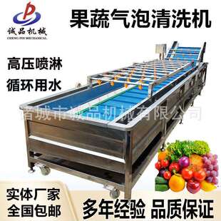 苹果秋梨喷淋式 气泡清洗机生姜中药材高压清洗机水果蔬菜清洗设备