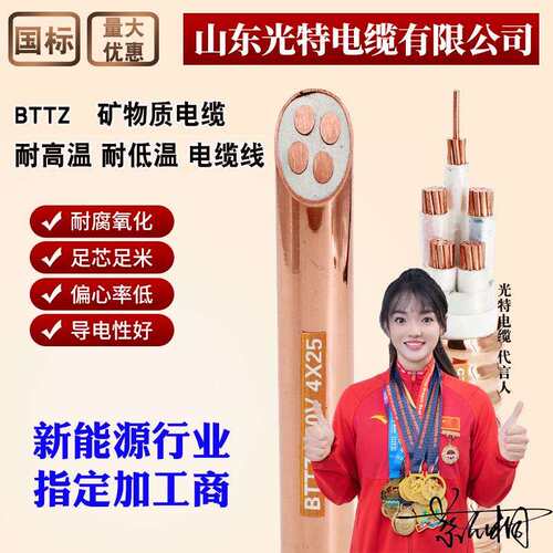 BTTVZ矿物质绝缘防火电缆WD-BTTYZ铜芯35平方BTTQ耐高温电线BTTVQ