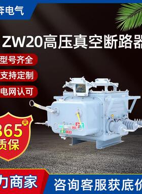 zw20户外高压真空断路器sf6六氟化硫智能看门狗柱上分界开关10kv