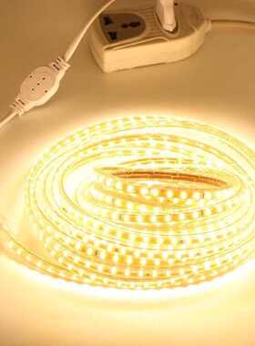 220v高压灯带4040 led吊顶灯 防水贴片柔性软灯条 装饰背景墙灯带