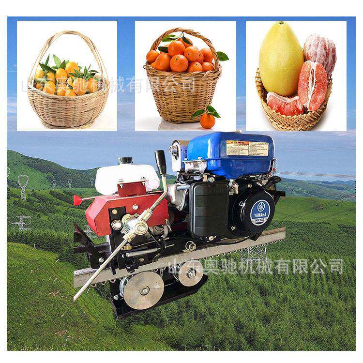 供应轨道运输车山地果园爬山自走式轨道运输车农场运输小火车