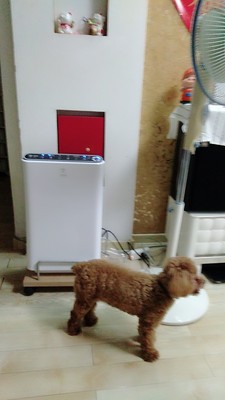 德国汉朗空气净化器质量怎么样?这是哪里的品牌,口碑差吗?