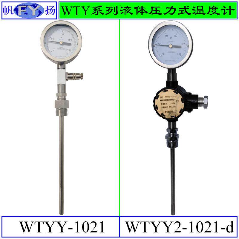 WTYY-1021WTYYX-1031系列温度计压力式温度计电接点带Pt100