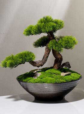 新中式禅意永生苔藓绿植盆景苏式家居装饰花客厅花架玄关花艺摆件