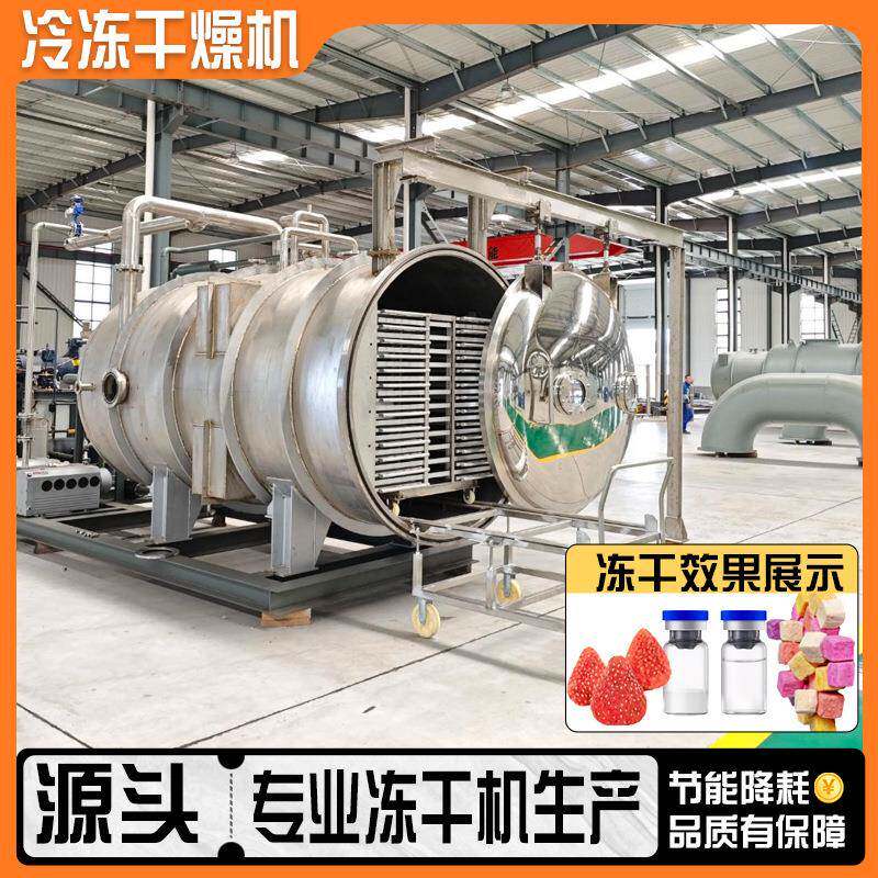 低温脱水芒果冷冻干燥机价商用大型100平榴莲块FD真空冻干机