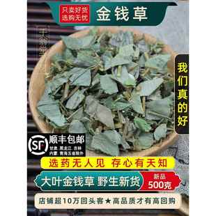 野生金钱草中药材500g 广金钱草中草药大叶金钱草泡水茶 250 100g