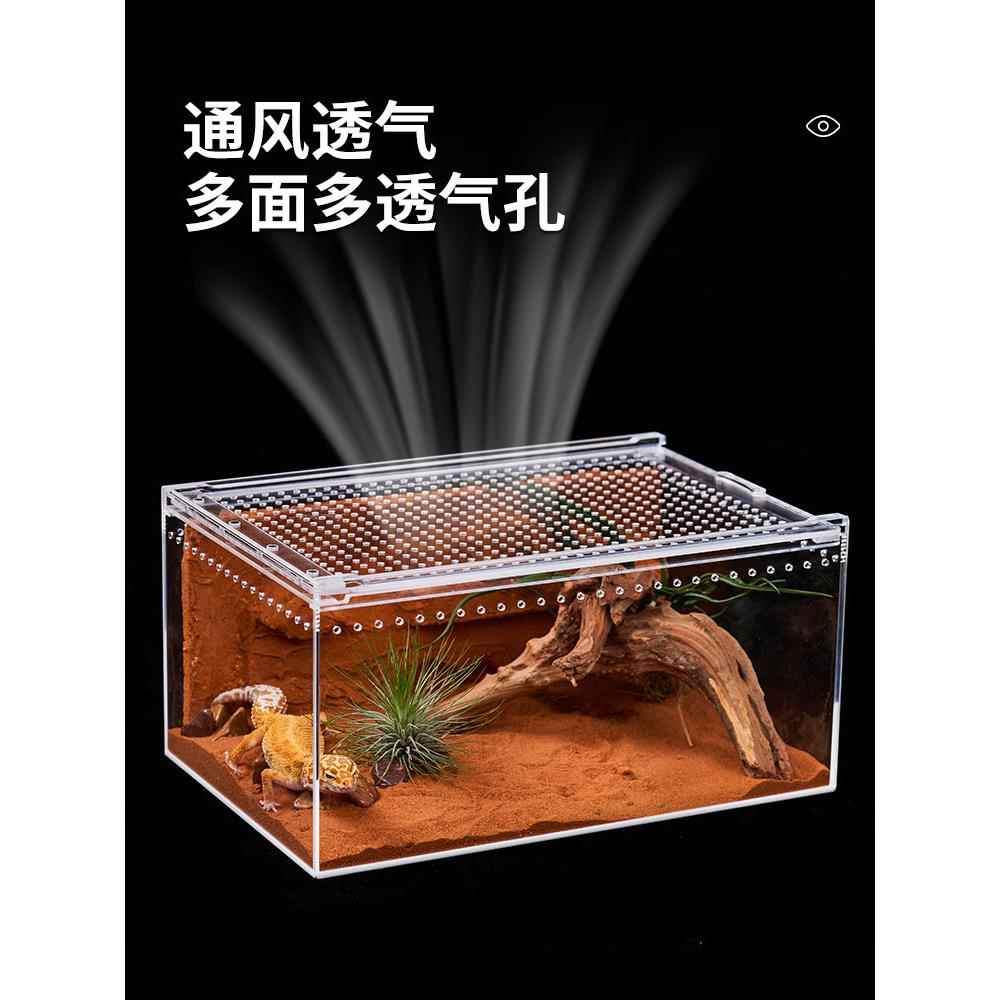 爬宠亚克力透明饲养盒爬虫盒守宫蜥蜴角蛙宠