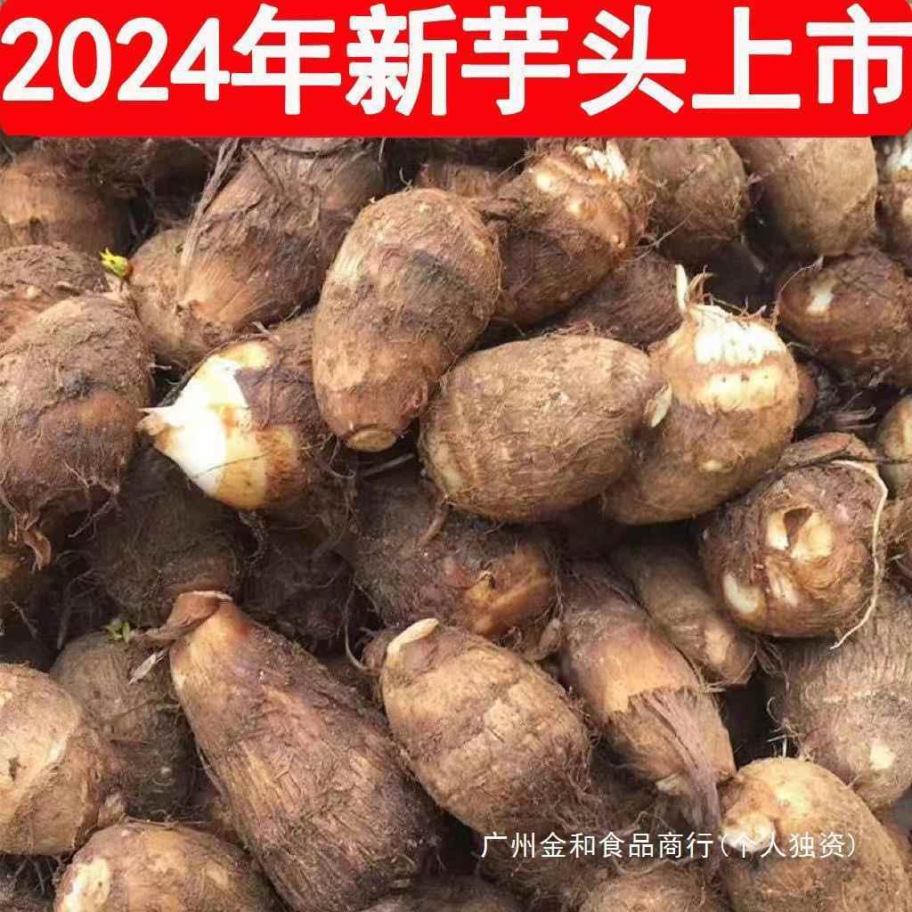 25年山东芋头牛奶小芋头新鲜毛芋头现挖奶油芋艿软糯丝滑当季蔬菜