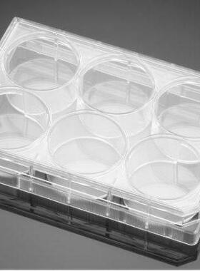 Axygen/爱思进50ml锥底螺口带盖离心管，灭菌SCT-50ML-25-S