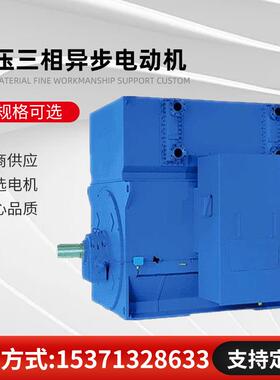 Y7106-62800KW10000V10KV1000rpm直销高压电机