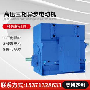 Y7102 102240KW6000V6KV600rpm高压电机直销