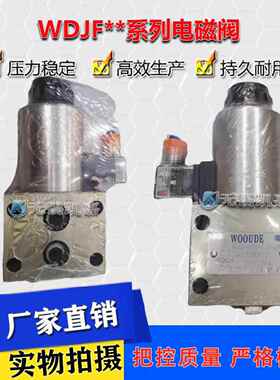 WOOUDE 压滤机卸荷阀WDJF-SB5-10B-DY2/CW220RNZ5L 电磁换向阀