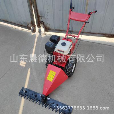 小型手推自走式剪草机 汽油动力果园割草公园草坪修剪机