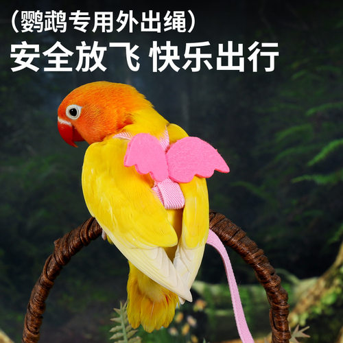 鹦鹉放飞虎皮牡丹牵引飞行鸟窝